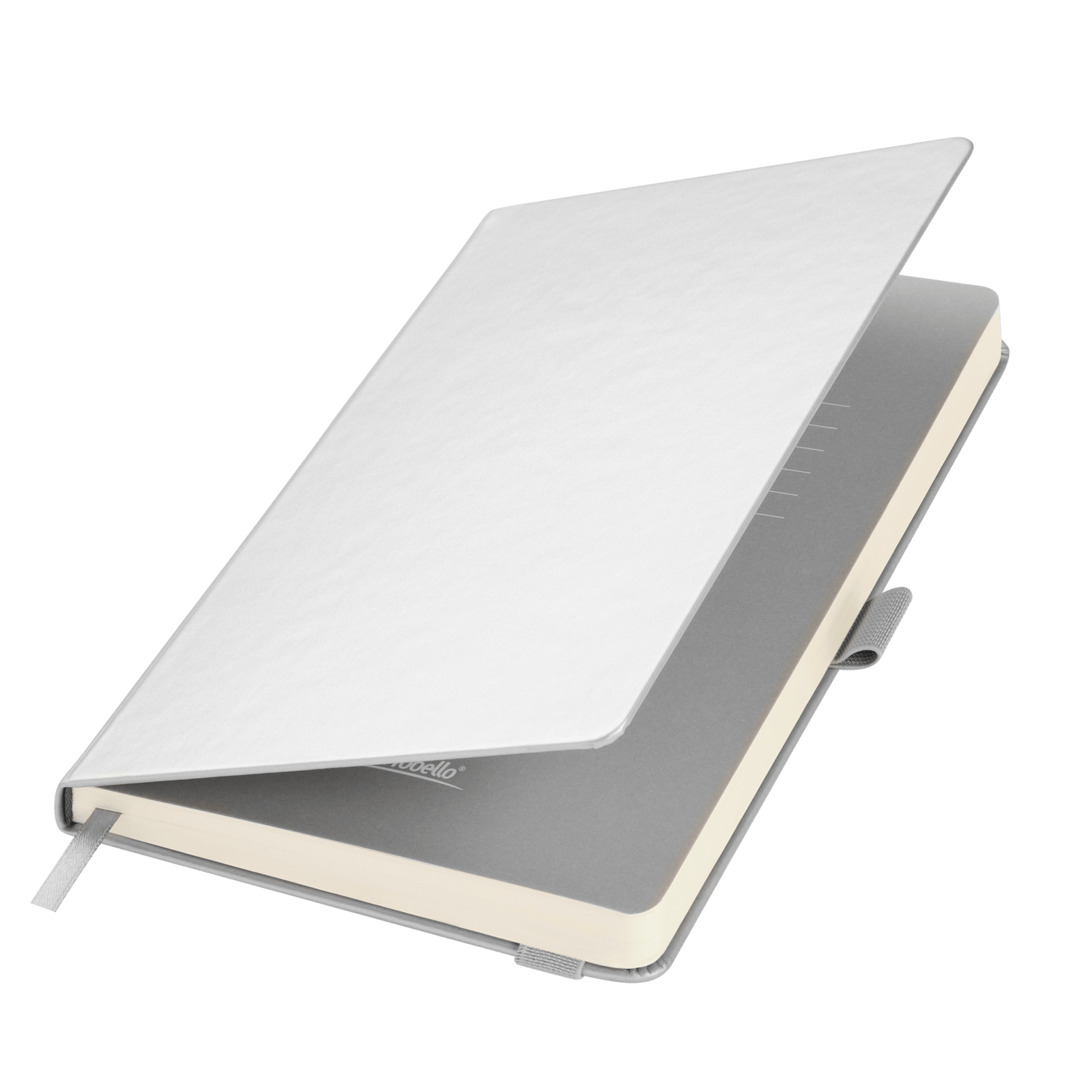 СЕРЕБРЯНЫЙ