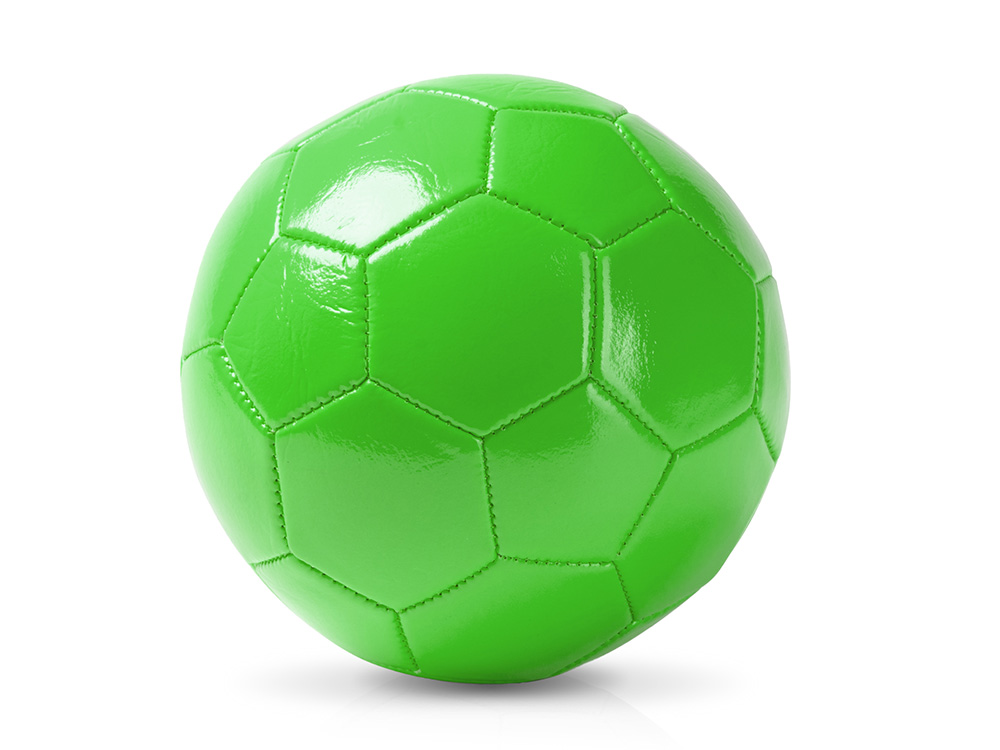 папоротник